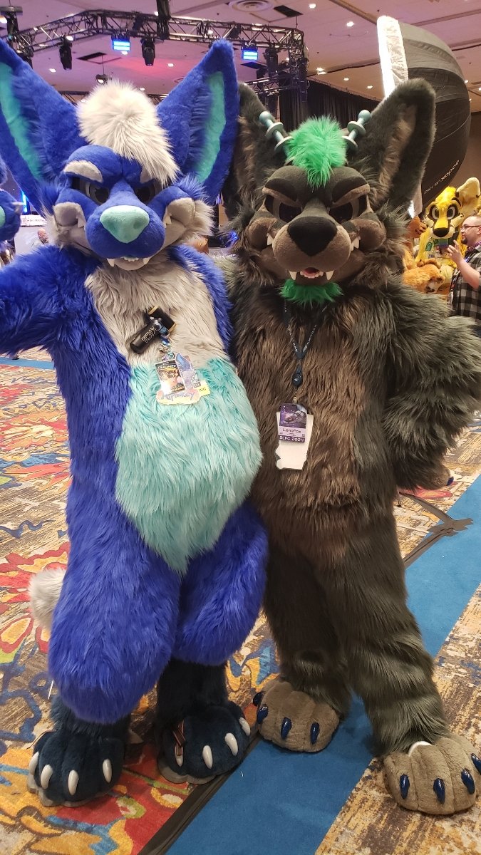 NightMannyRey's tweet photo. Happy #MoreFurLessMonday!
Me and my foxy friends, @Lanepaws having a great time at #BLFC2024.
@kepfox in the back too.
💙🐺😉

#MoreFurLessMonday
#BLFC2024
🪡 by @MoreFurLess https://t.co/915EiwK86B