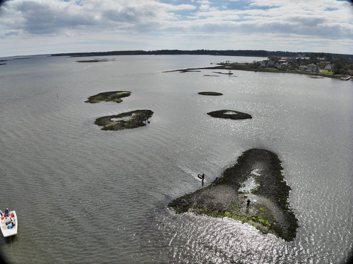 noaacoastalsci's tweet photo. NCCOS scientists evaluate how nature-based infrastructure - such as marshes, reefs, dunes, and oyster beds - can protect coastal neighborhoods and infrastructure. To date, they have analyzed 38 sites across 8 states! #25YearsofNCCOS
https://t.co/uGCf4vcgTX https://t.co/NgkNdHinSA