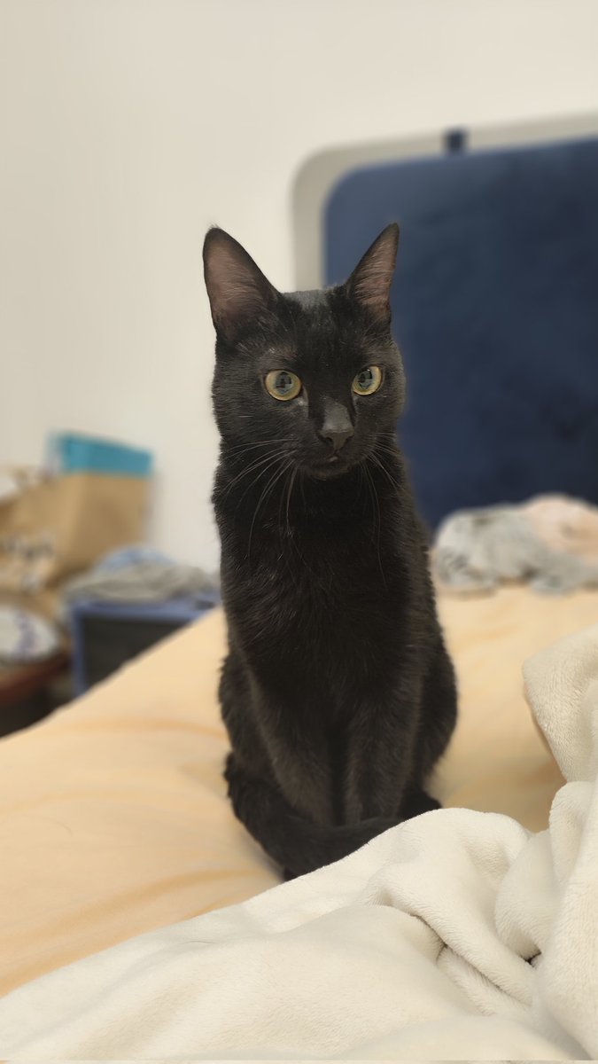 The3DHut tweet media