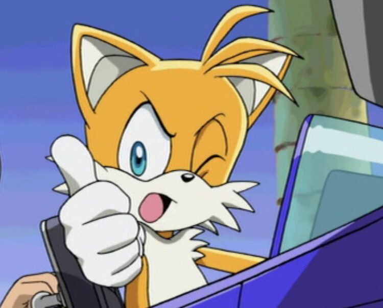 Dailytailspics's tweet photo. https://t.co/qDODYey5Gn