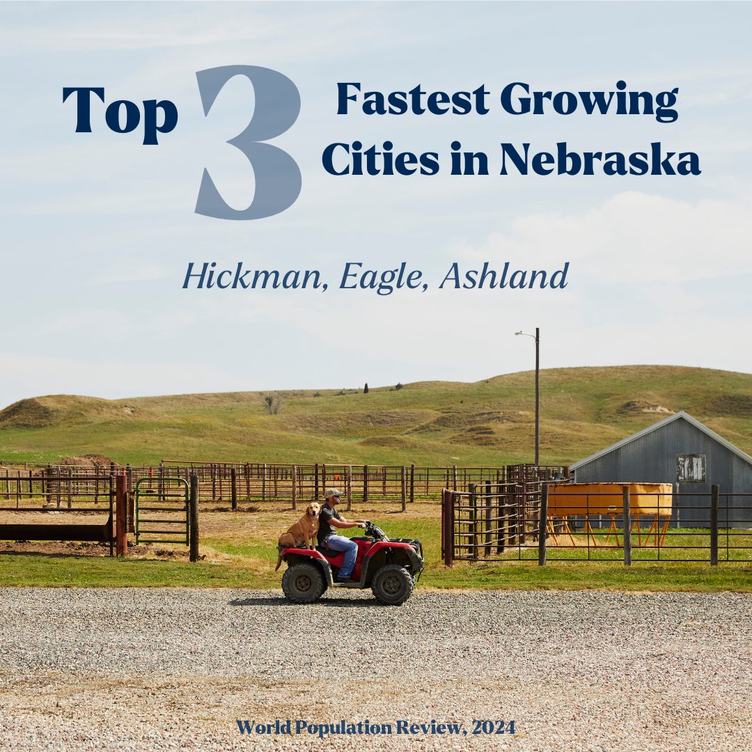 The Good Life Is Calling tweet media