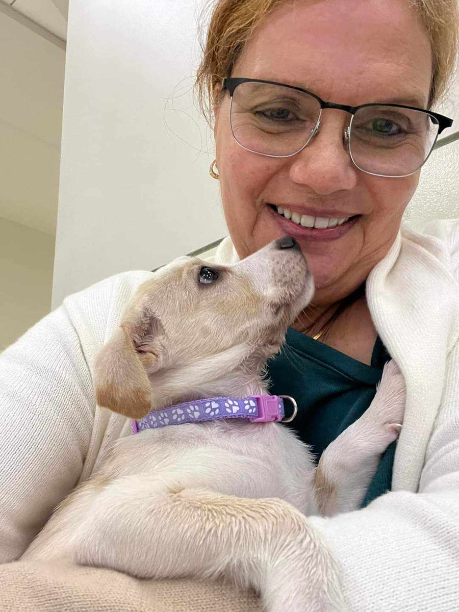 COLITA VIAJERA

Ruth le dio pon a Daniela hasta Newark, donde buscará su milagrito de adopción.

Gracias, Ruth, por ayudar a Daniela con su segunda oportunidad de vida y amor.

Si tú también quieres ayudar a una colita viajera, escribe al 787-612-8587 y te orientaremos.