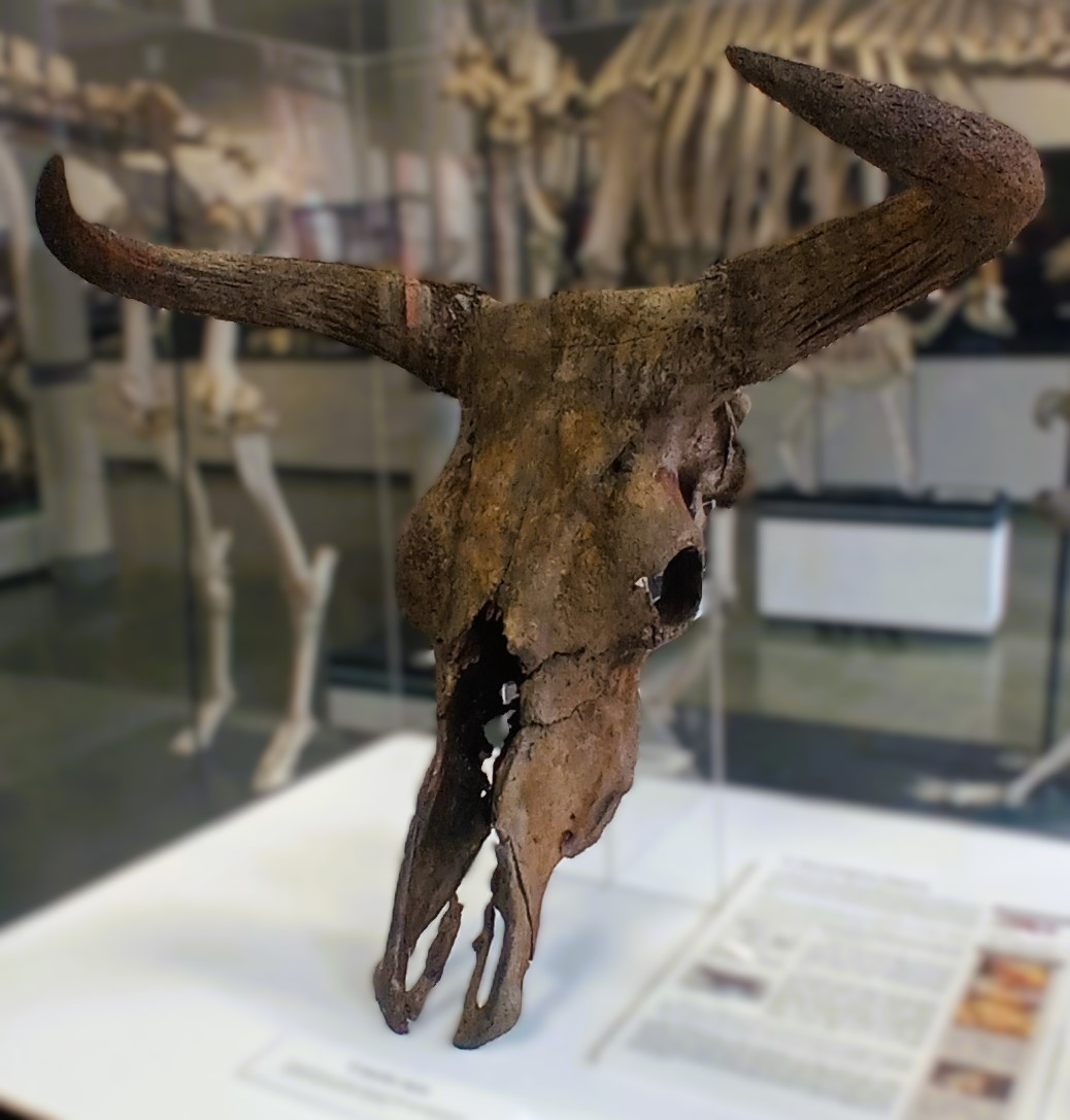 Luca Pandolfi tweet media