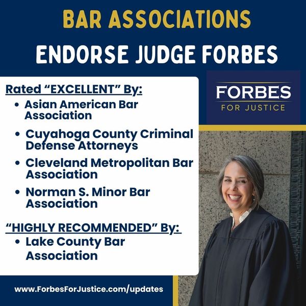 Judge Lisa Forbes for Justice tweet media