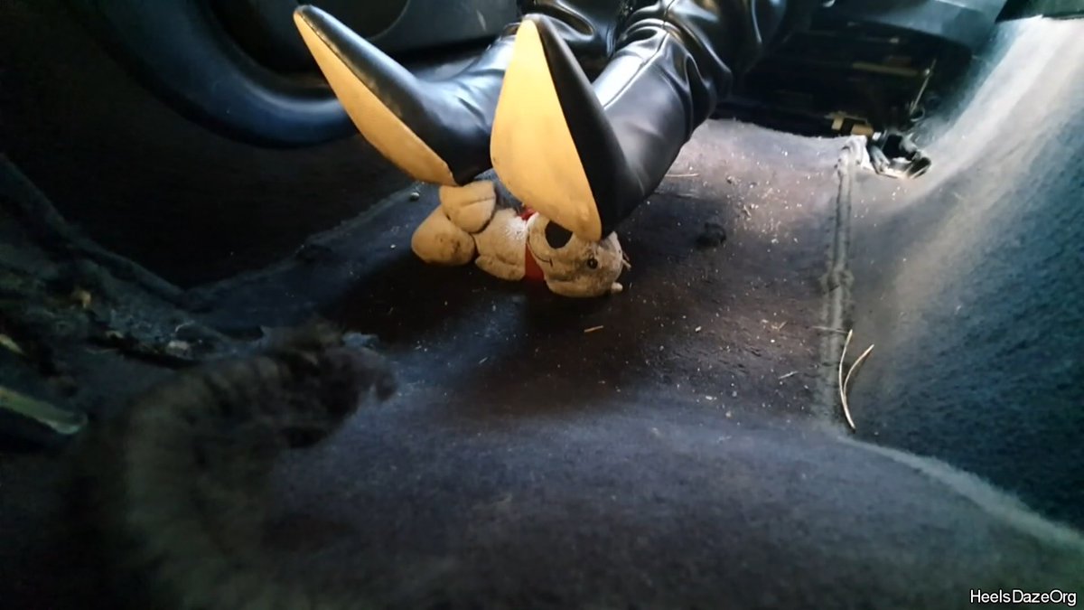 DazeOrg's tweet photo. https://t.co/LYKDOZ23ac
#plushies #trample #trampling #crush #crushfetish #candid #pov #stilettos #stilettoheels #Heels #highheels #soles #solefetish #undersoles #candidcrush #unawarecrush #Bootscrush #Bootfetish #Boots #leatherboots #stomp #Unawaregiantess #giantess #c4s https://t.co/3wBsW0prLF