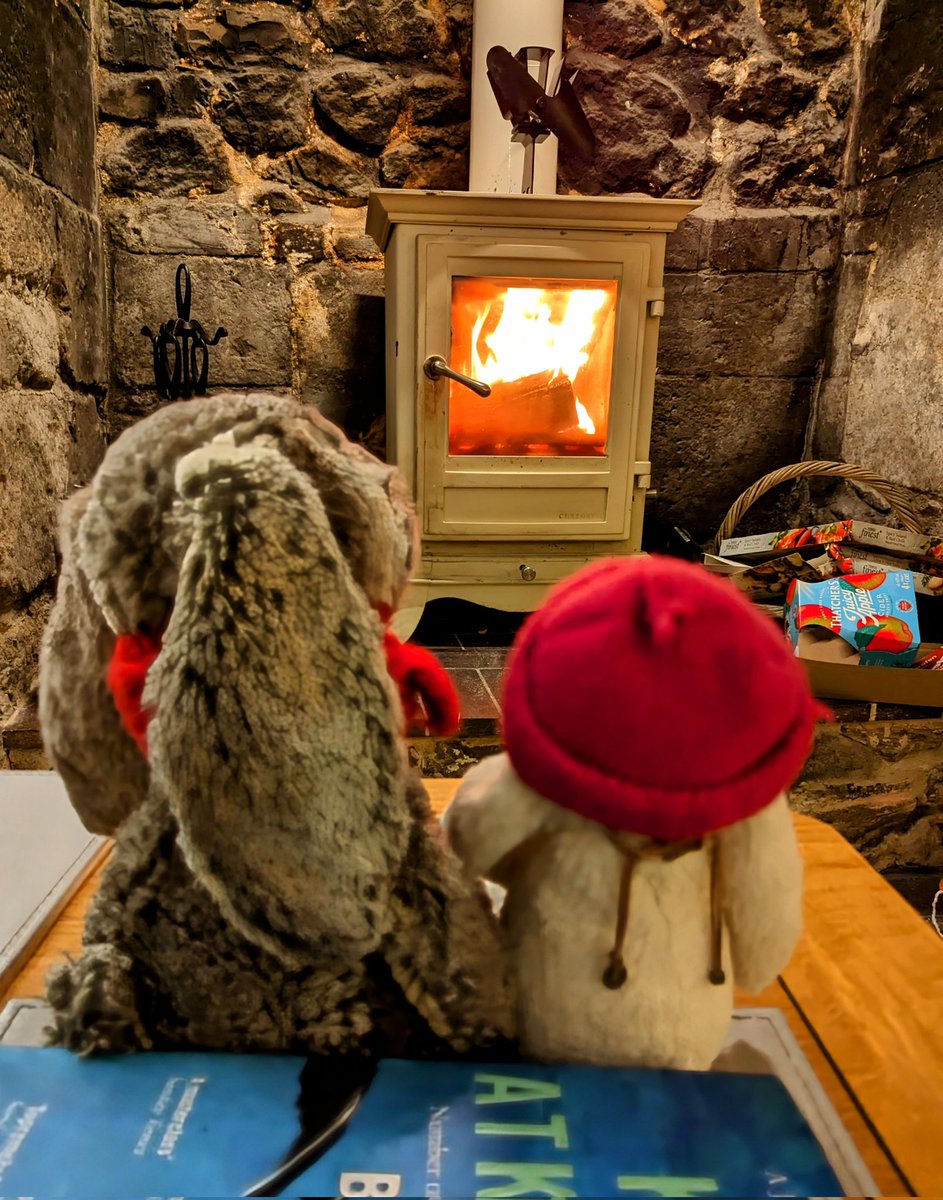 Mrs OR 🇺🇦 tweet media