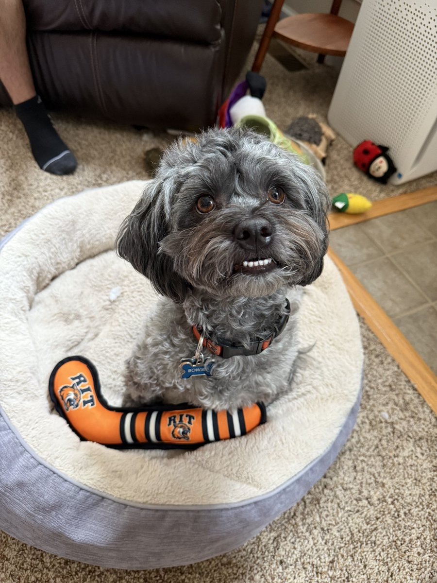 michellexsnow's tweet photo. Big @RITMHKY &amp; @RITWHKY fan 🧡🏒 https://t.co/zDOCi1VtOD