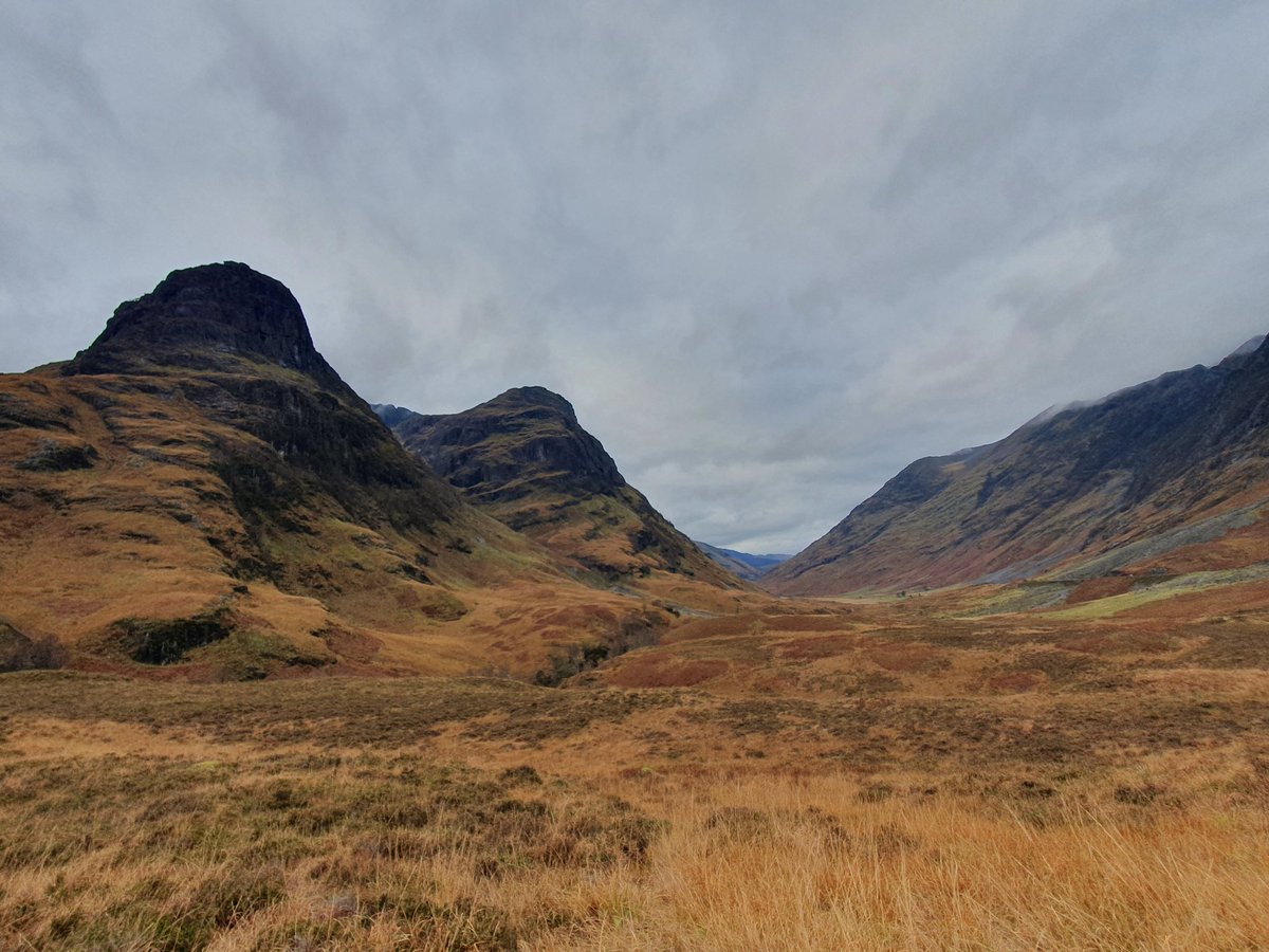 sharronlouise tweet media