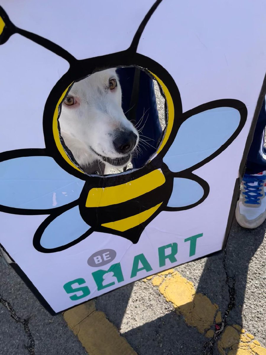 DividedRy's tweet image. Happy 7th "gotcha" day to this ham.