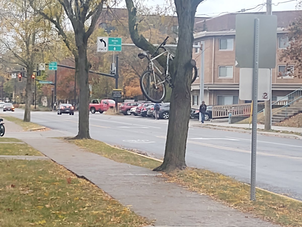 Caught one in the wild! Near campus earlier today...