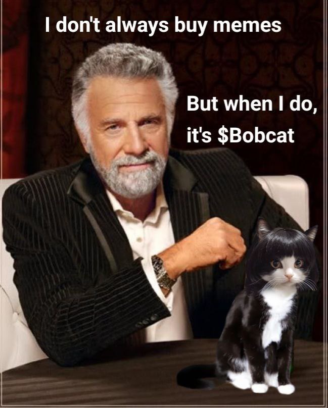 JonnyDecember's tweet photo. $BobCat on $SOL 
54mRYUmrKyvVD538pLi2GPS9jUXwwaejXRbh8qMppump#BobCatToBillions 
#memecoin #FunMoney #Bobd #Solflarewallet https://t.co/5TyHZfY4Gn