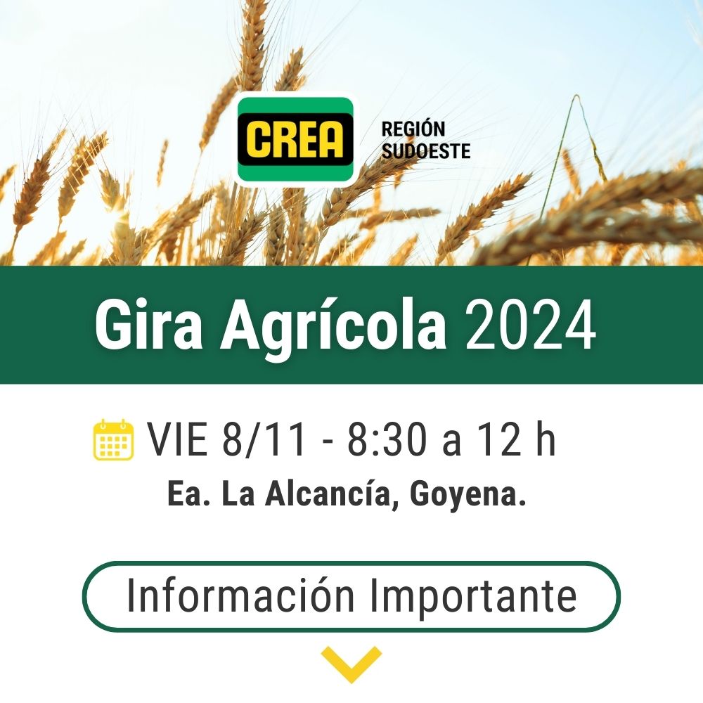 El próximo 8/11 los esperamos en Goyena para la gira de #GEASO donde vamos a ver ensayos en secano y riego. 
Ensayos comparativos de rinde, brechas de rendimiento, foliares, planteo técnicos en riego y reguladores de crecimiento.
Los esperamos!