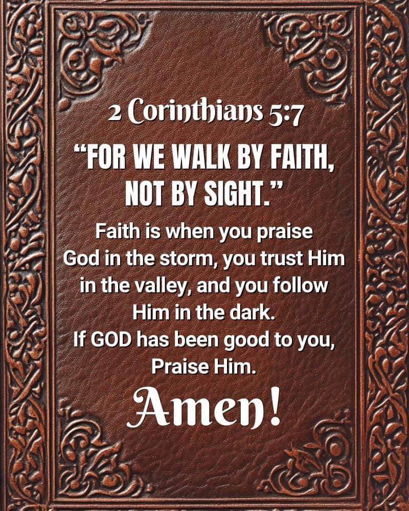 sparrow17 tweet media