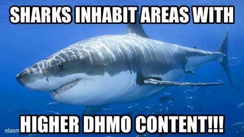 Are you trying to invite sharks into your home!?