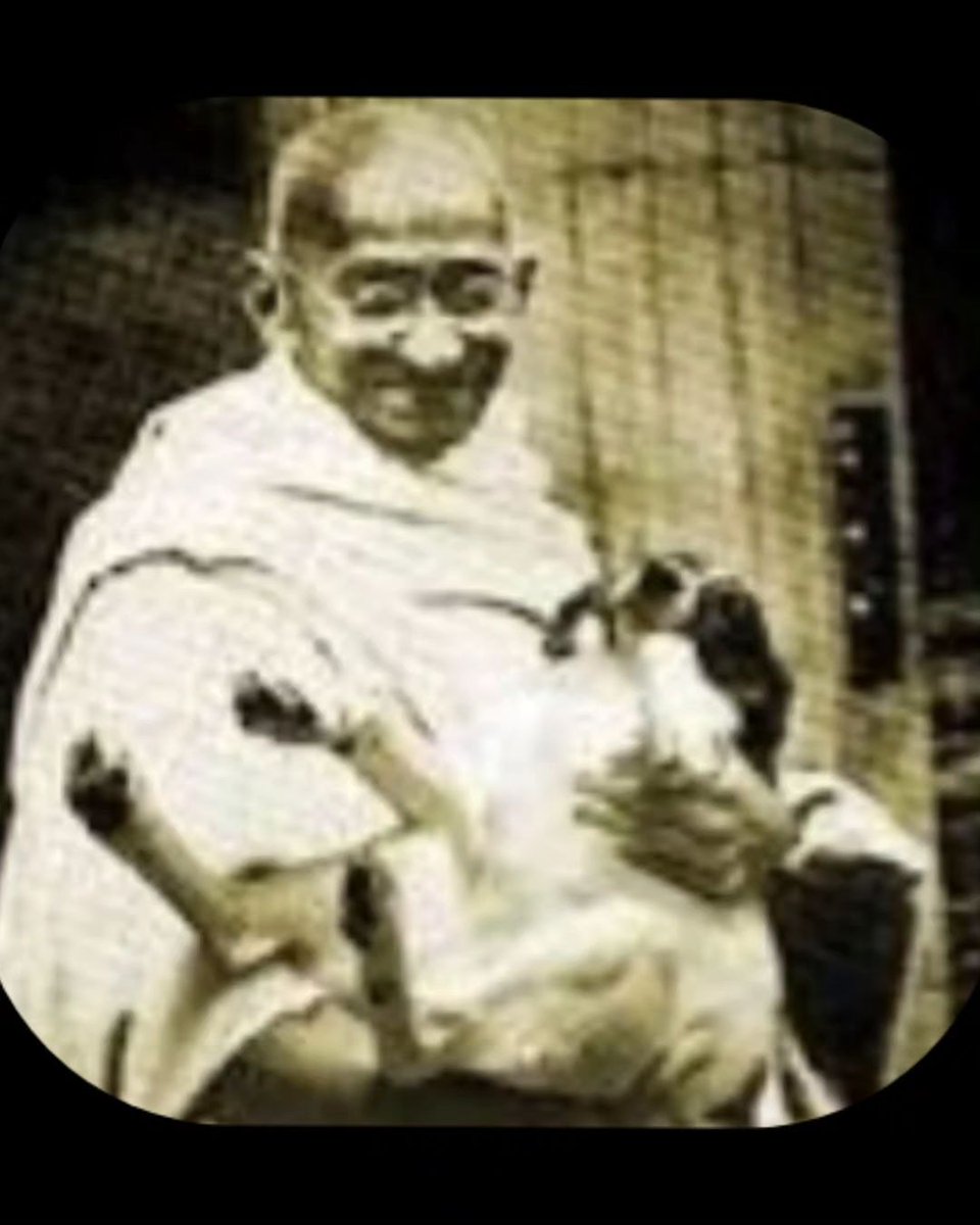 Napušteni psi nisu pali s neba! Oni su znak nemoći, ravnodušnosti i neznanja jednog društva. To što oni pate, dokaz je naše bezosećajnosti! 

Mahatma Gandi