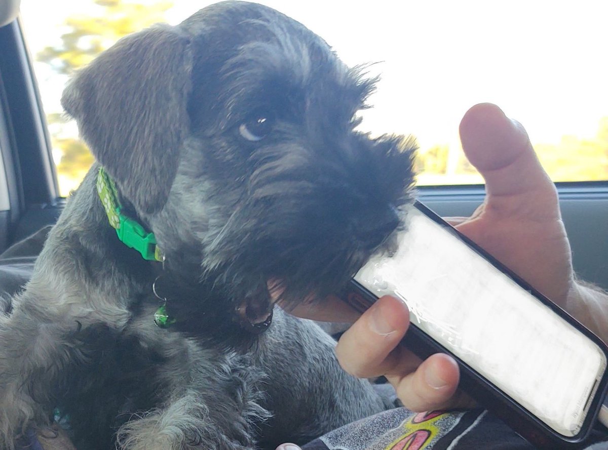 Oliver Holcomb tweet media