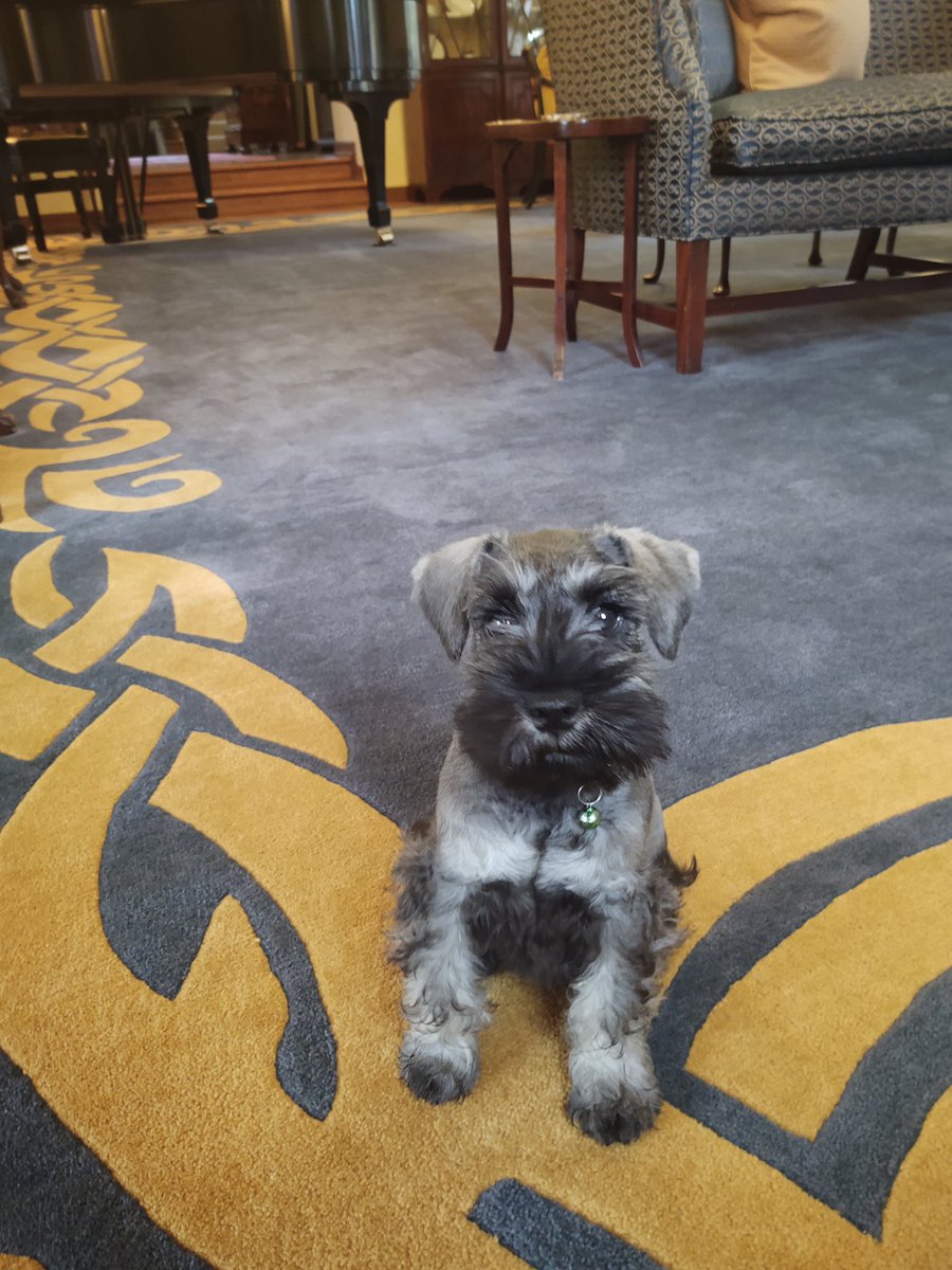 Oliver Holcomb tweet media