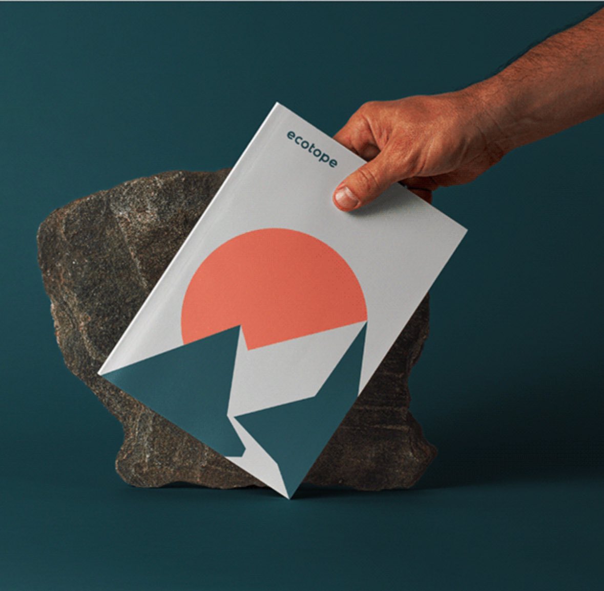 illlex 💥 tweet media