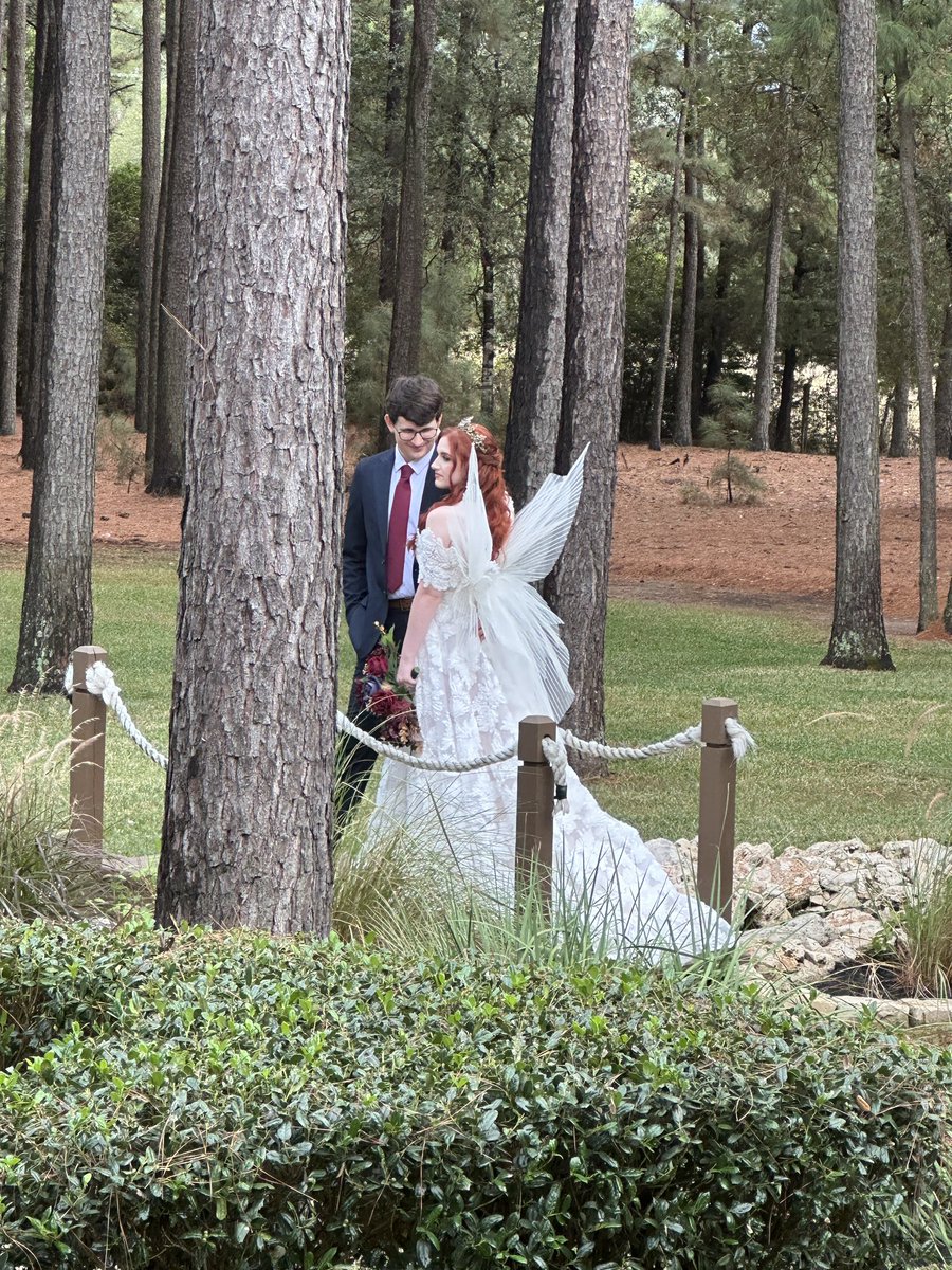 Colette Pledger tweet media