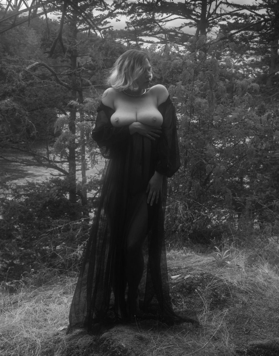 Adorgeous tweet media