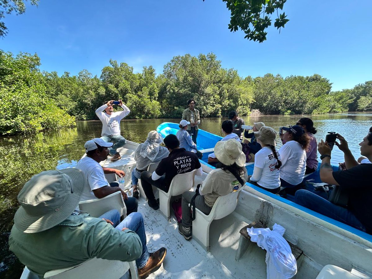 CONANP_mx's tweet photo. Con motivo de la Semana Nacional por la Conservación 2024, se llevó a cabo un recorrido de campo para la planeación de acciones de restauración dentro del Proyecto #MangRes - @UNESCO_es, en la Reserva de la Biosfera #LaEncrucijada. 🍃
#SNC2024 🛥️🌿🌊🌳🌺🐆🐦🐊 https://t.co/bvoP5INAtX