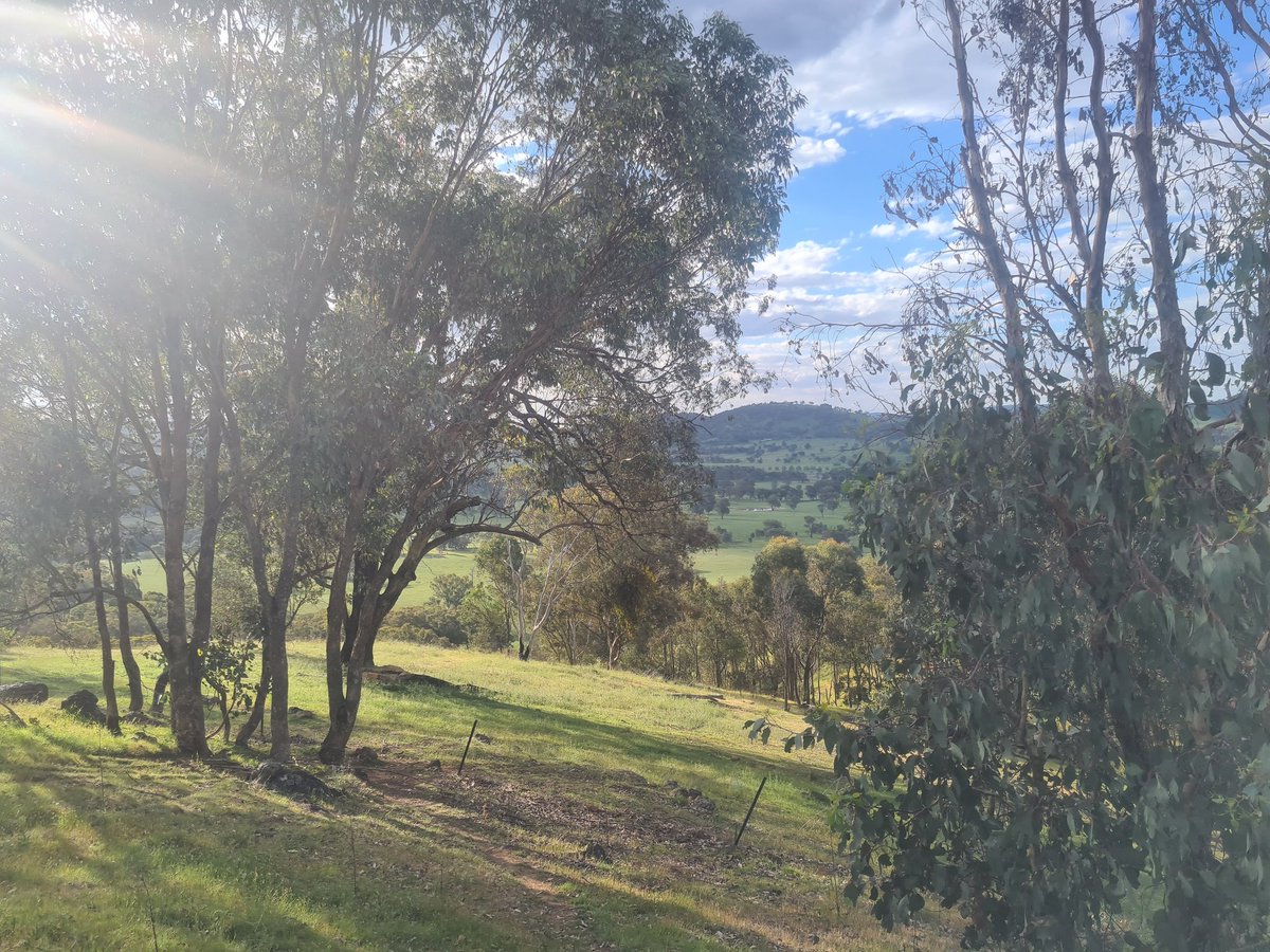 Recent adventures in River Country. With thanks to the Wiradjuri and Bidjara