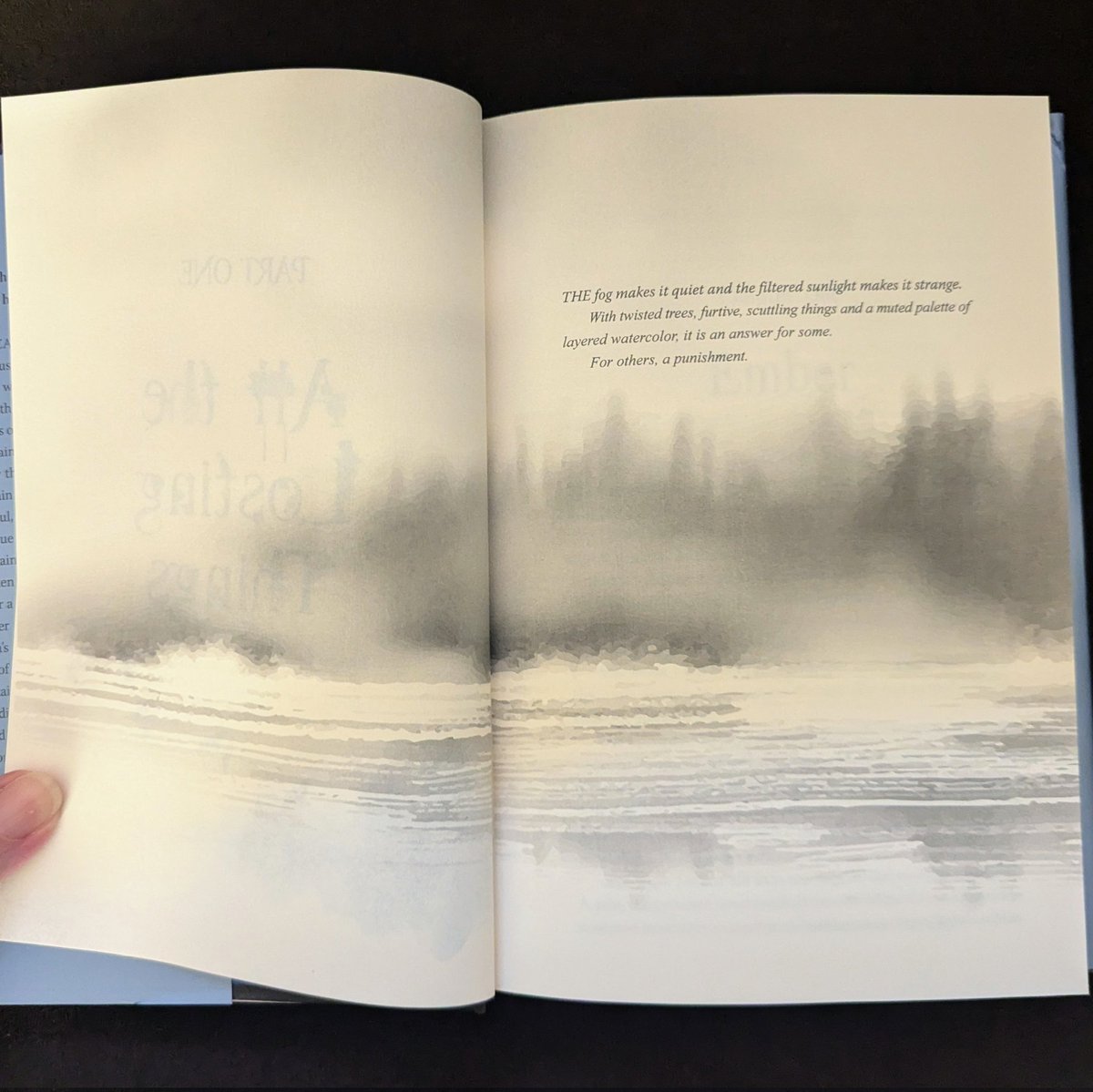 Lora Senf tweet media