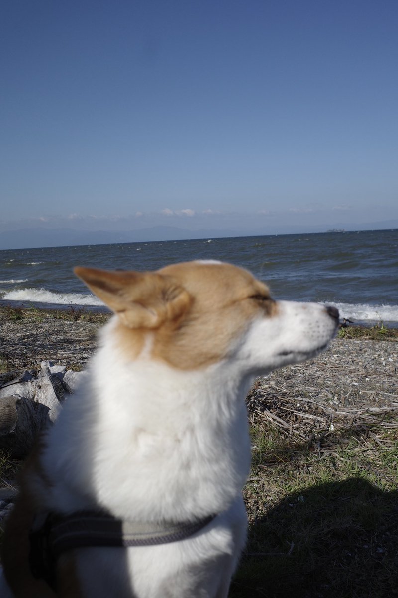 inullnuit (@inullnuit) on Twitter photo 