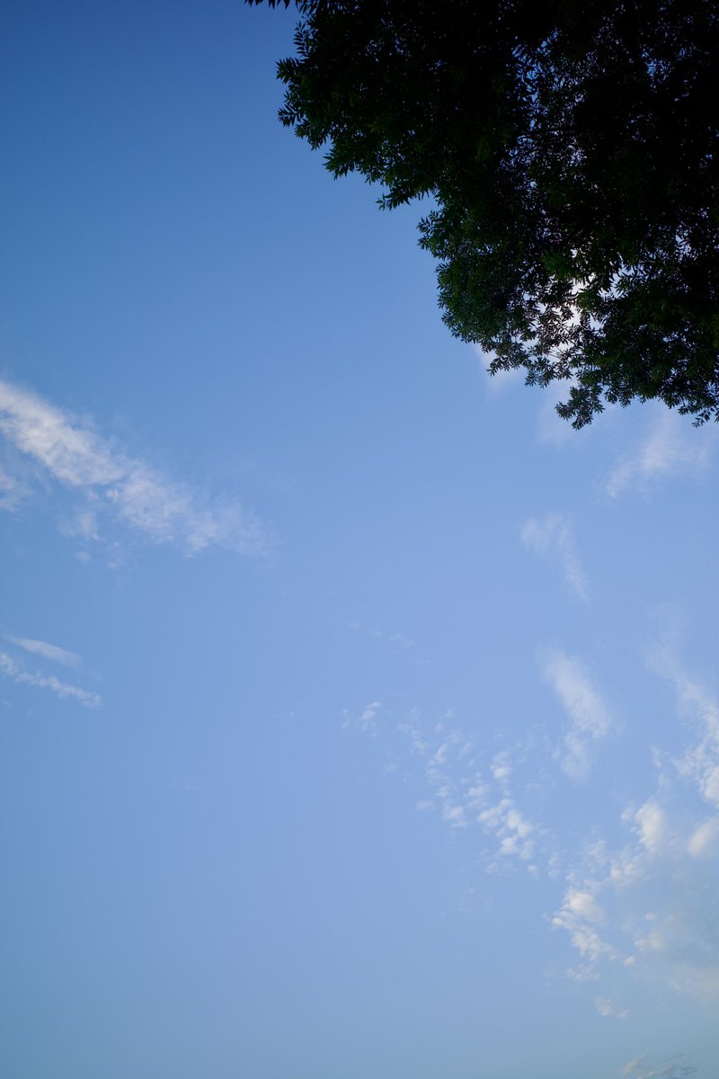 kuserockfes's tweet photo. おはようございます☀️
今朝見上げた空をどうぞ！ https://t.co/U681jBQISK