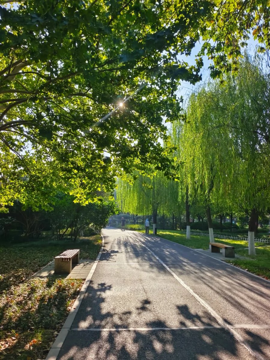 朝の風は、心を穏やかにしてくれる。😊