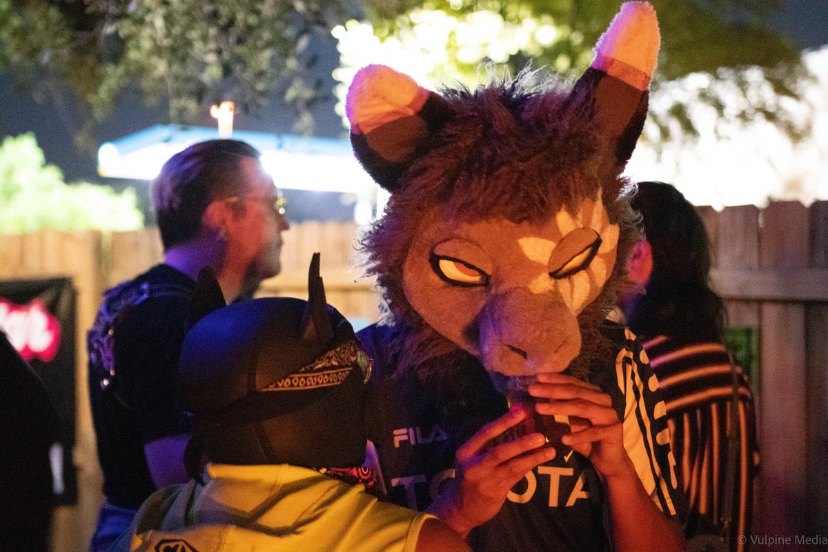 Vulpine_Media's tweet photo. Furry Underground Rave pics from last month! https://t.co/FTBZp067SJ