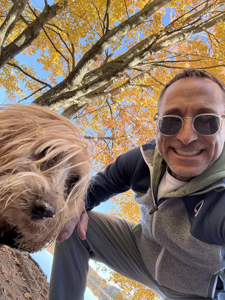 dba's tweet image. Devasted. Beni Jackpot Aronoff 9/1/09-11/04/24