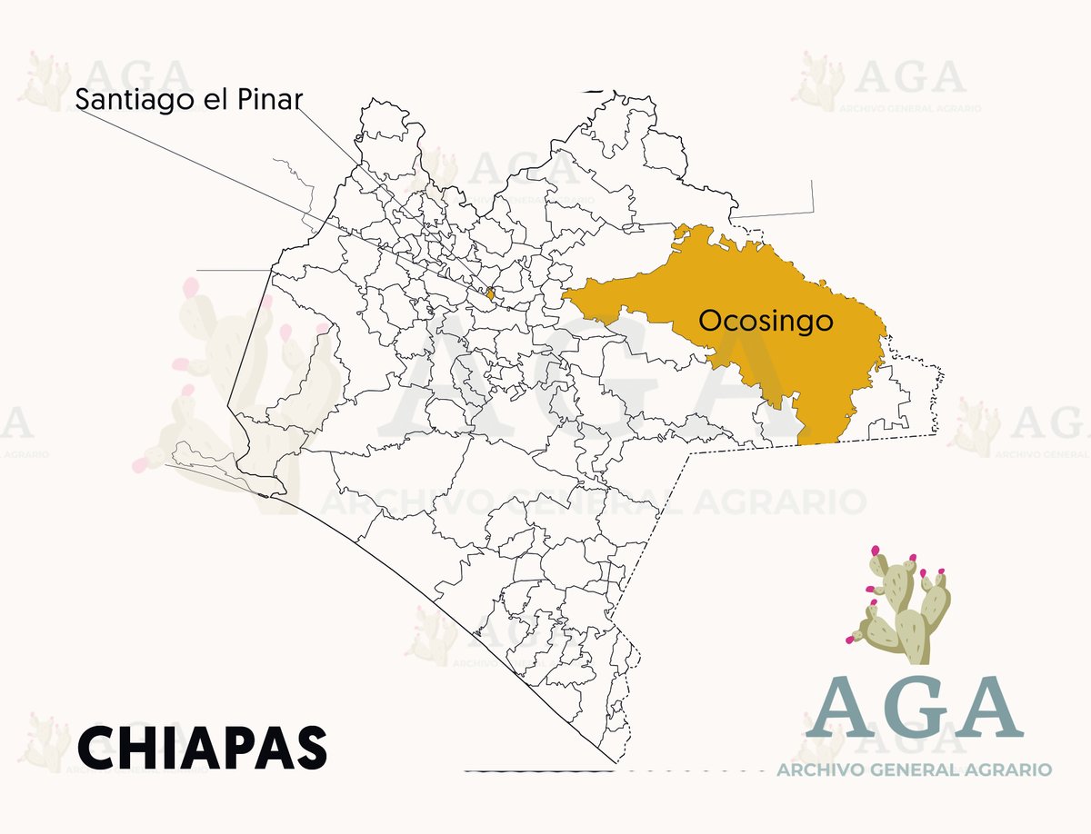 #SabíasQue el municipio más extenso en el estado de #Chiapas es 𝐎𝐜𝐨𝐬𝐢𝐧𝐠𝐨, y el menos extenso es 𝐒𝐚𝐧𝐭𝐢𝐚𝐠𝐨 𝐞𝐥 𝐏𝐢𝐧𝐚𝐫.

#HablemosDeChiapas 🏞️