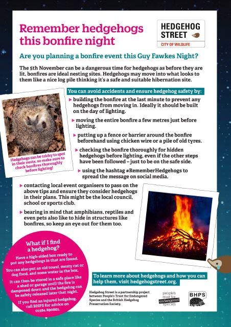 People's Trust for Endangered Species (@ptes) on Twitter photo #RememberHedgehogs this bonfire night! 🔥🦔
👉hedgehogstreet.org/bonfire-night
#HedgehogStreet is a joint campaign run by us and <a href="/hedgehogsociety/">Hedgehog Society</a> #RememberHedgehogs this bonfire night! 🔥🦔
👉hedgehogstreet.org/bonfire-night
#HedgehogStreet is a joint campaign run by us and <a href="/hedgehogsociety/">Hedgehog Society</a>