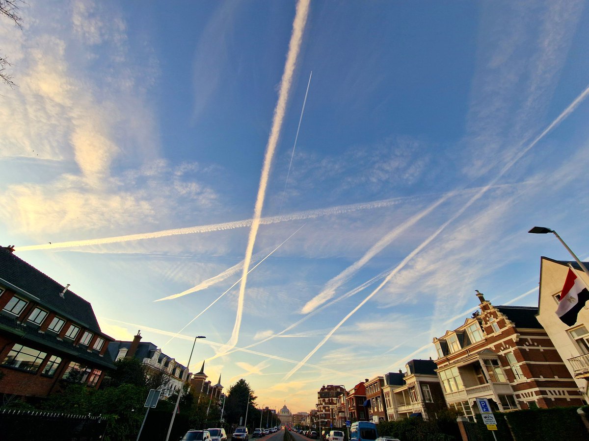 Nicol Taal tweet media