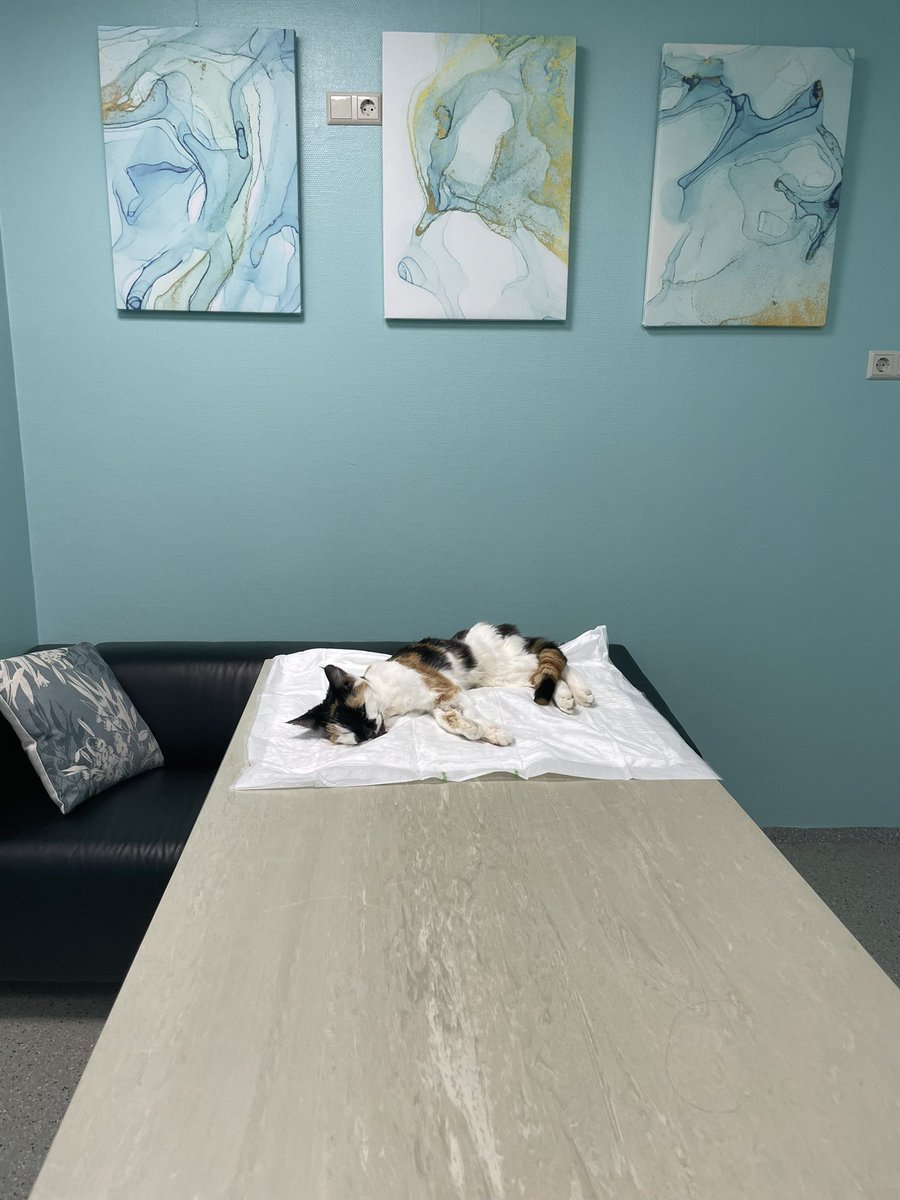 Pingtao Ding (he/him) tweet media