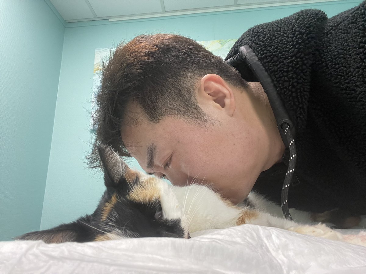 Pingtao Ding (he/him) tweet media