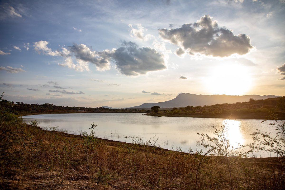 KisiaNzuki's tweet photo. Tupatane Ndukuma Dam Run this Sunday, 10th November, 2024... REGISTER NOW!
#MutulaDelivers
#MakueniTukoSawa
#WauniWaKwikaNesaNaUlungalu