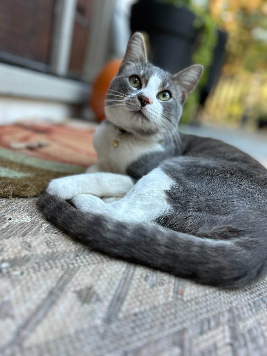 Grant Miller tweet media