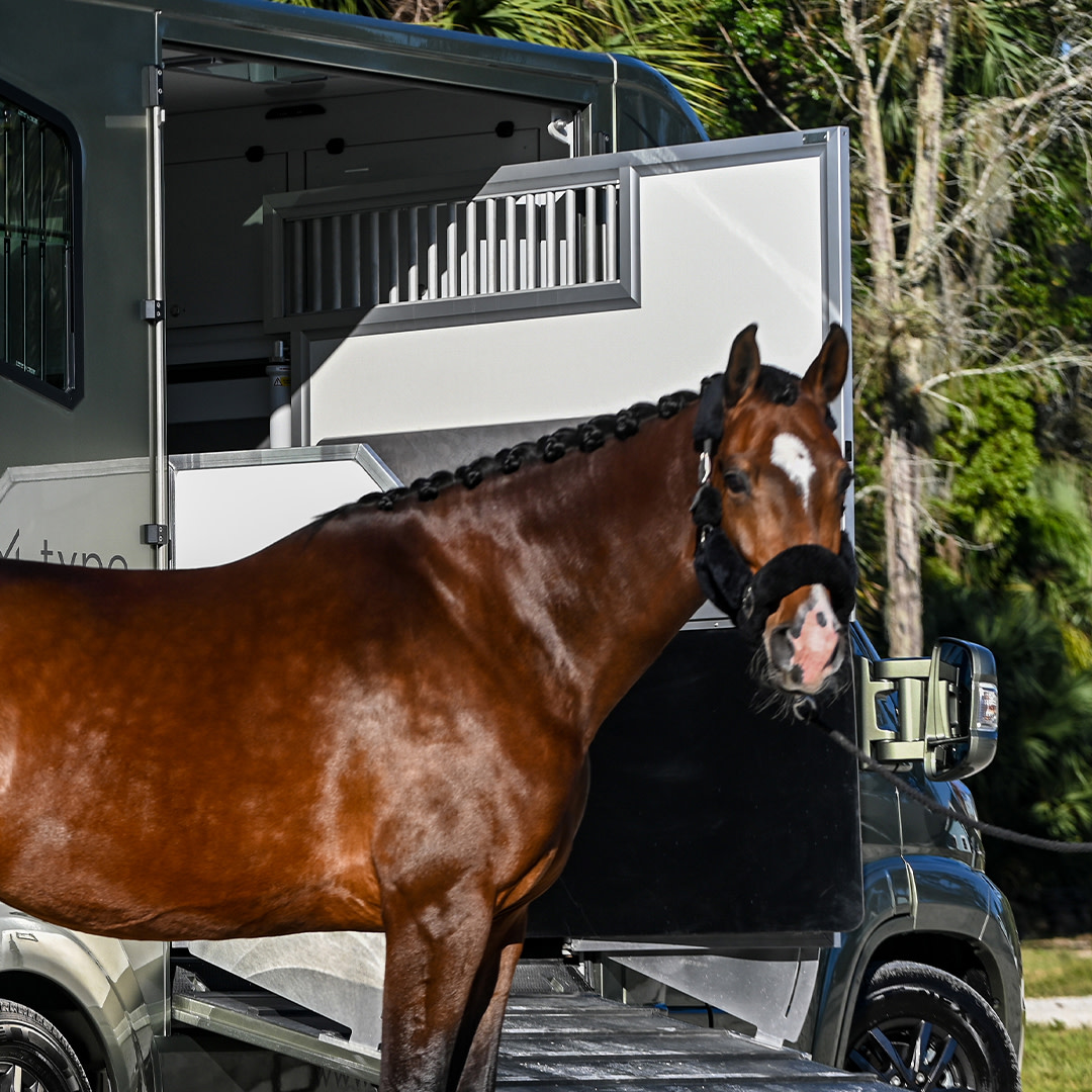 FieldsCJDRIL's tweet image. From #RamTrucks "For our latest #smallbizsat spotlight, we’re highlighting the folks at THEAULT. Specializing in equestrian transport vehicle rentals, THEAULT uses innovative Ram ProMaster® designs to help take their business to the next level." #RamProMaster #SmallBiz