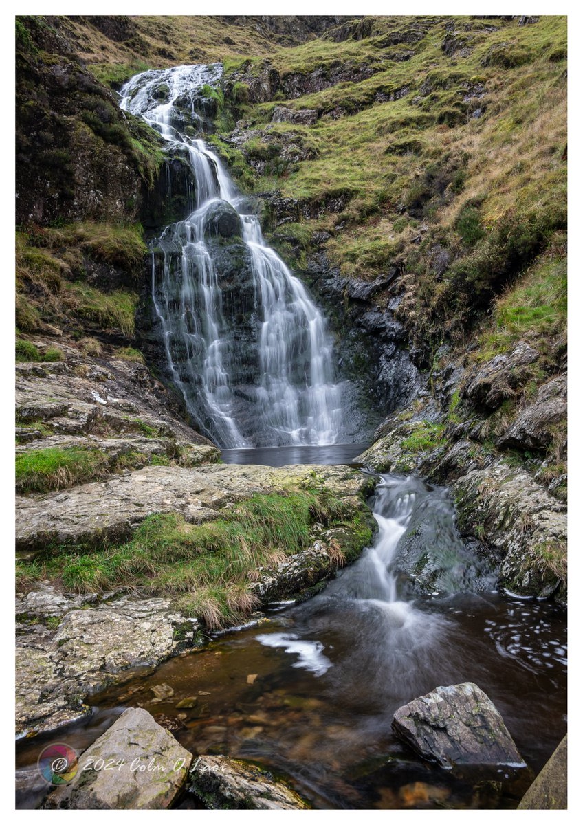 Colm O Laoi tweet media