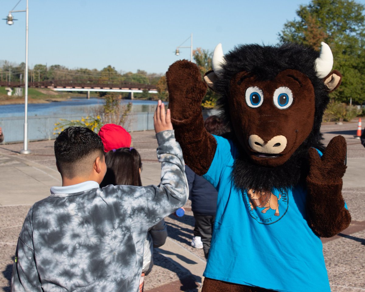 NatParkTrust's tweet photo. Happy (belated) #NationalBisonDay!

#DYK bison are nature's master gardeners? As they roam, seeds hitch a ride in their thick fur and travel far and wide, helping new plants take root and bringing fresh life to the landscape.

Where has your #BuddyBison adventured this year?🦬👇 https://t.co/ByH5nMHUse