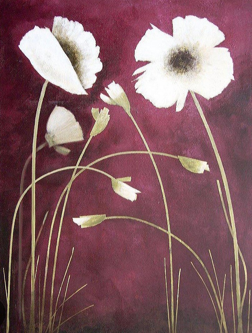 lizannemayers's tweet image. #WhitePoppy 🕊 Peace for all Beings 🕊