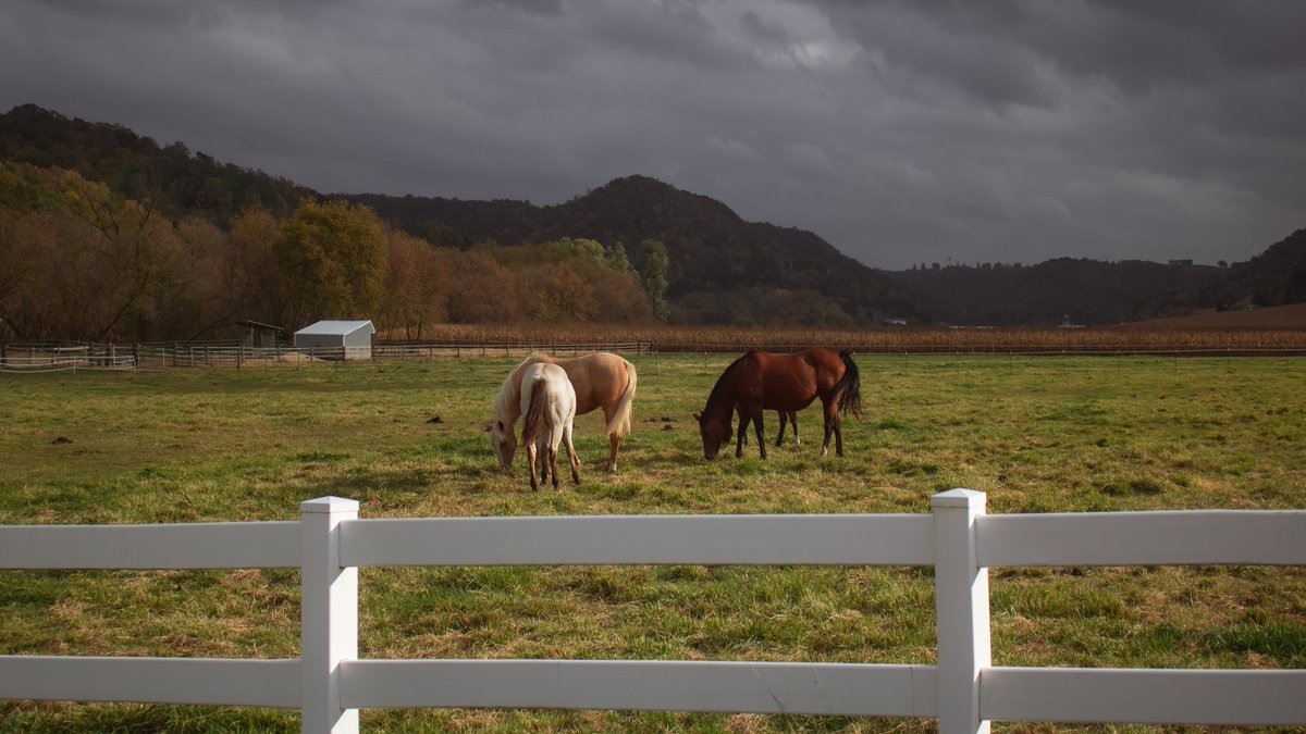 jayanthonyolson's tweet image. Fall in the midwest.