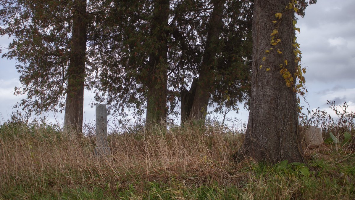 jayanthonyolson's tweet image. Fall in the midwest.