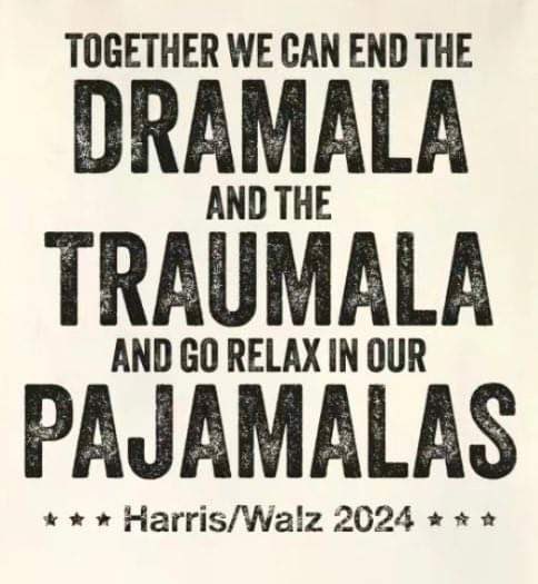 Try this: get real still, take a deep breath and think deep about the choice we face between more chaos or more joy.  

Which makes you feel better?

#VoteBlueChooseJoy 💙🥰