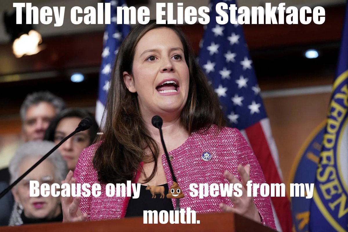 🇺🇸American Patriot🇺🇸 tweet media