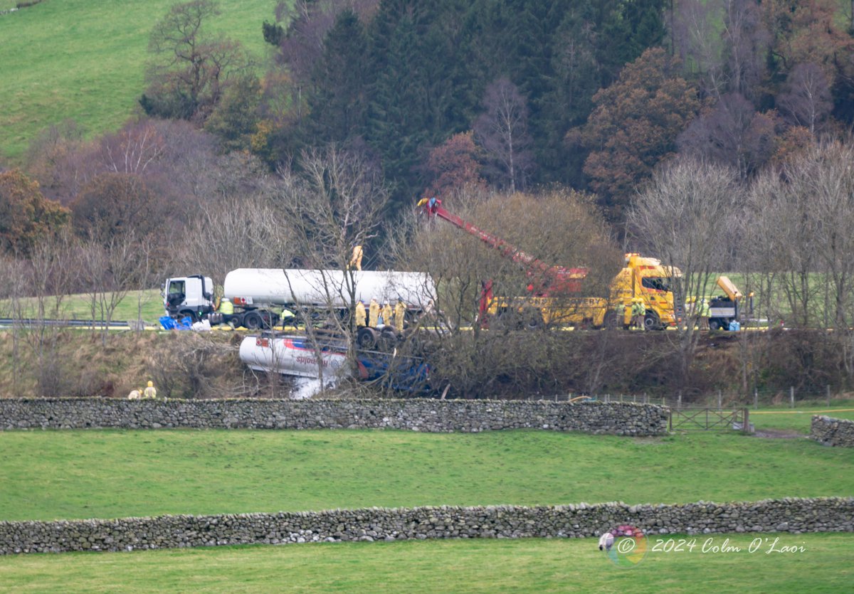 Colm O Laoi tweet media