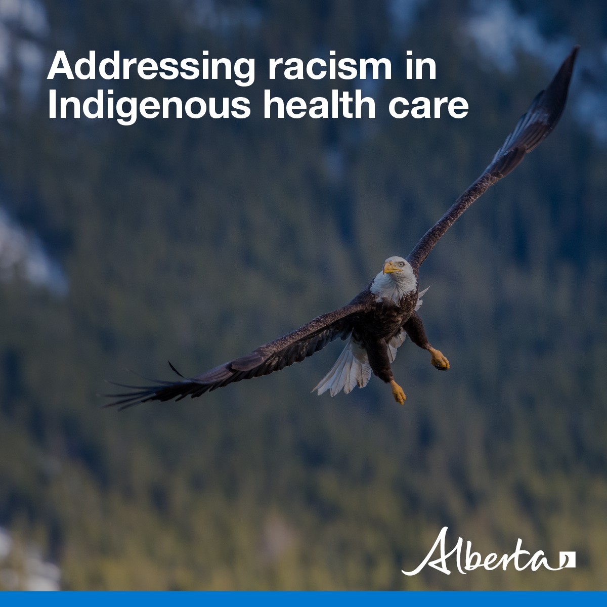 We are hosting a series of information gathering session to create a safe space for First Nation, Metis and Inuit patients to share their experiences about the health care they receive. Participate today: alberta.ca/addressing-rac…