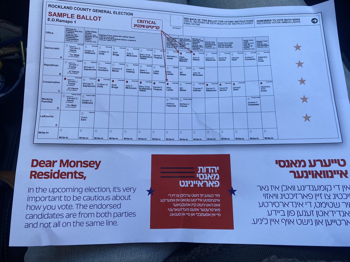 JuPo_Art's tweet photo. @SabbySabs2 My friend and I voted early in the 17th district. This flyer was found in the private booths. This could be one of the reasons why he’s losing. We reported it and no one G.A.S. apparently. This is illegal. https://t.co/ZV2SkV0xM8